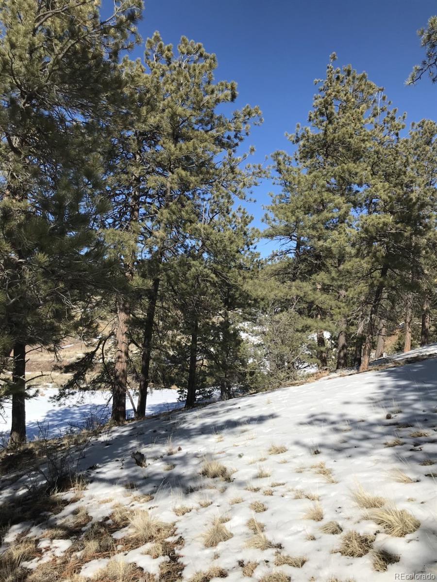 1093 Piute Road Westcliffe, CO 81252 - Photo 6 of 15
