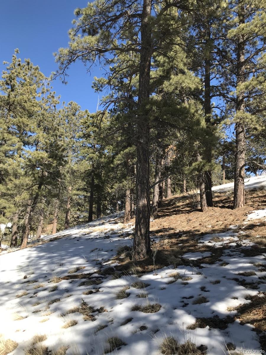 1093 Piute Road Westcliffe, CO 81252 - Photo 7 of 15