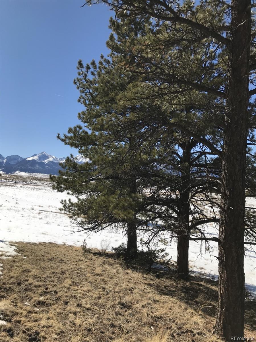 1093 Piute Road Westcliffe, CO 81252 - Photo 8 of 15