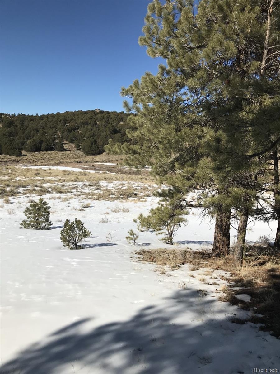 1093 Piute Road Westcliffe, CO 81252 - Photo 9 of 15