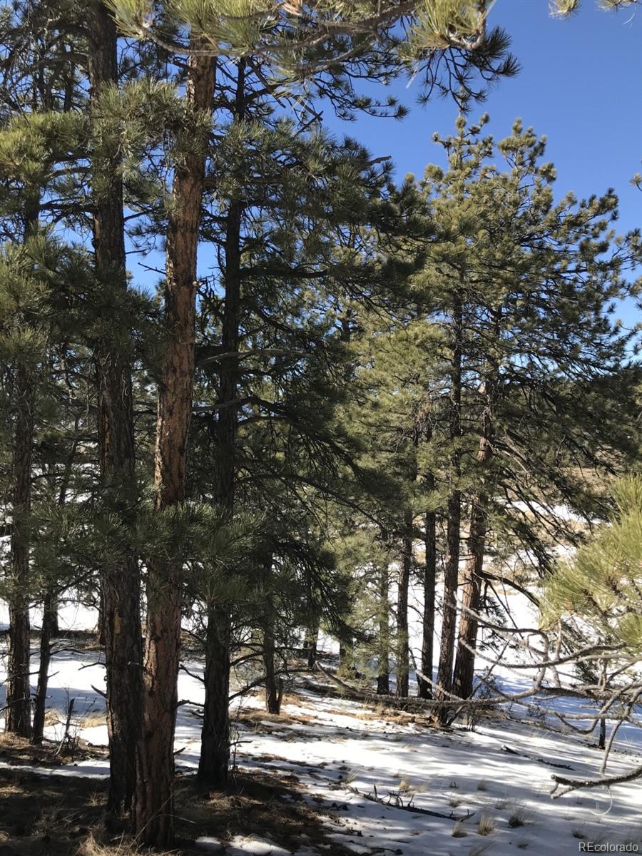 1093 Piute Road Westcliffe, CO 81252 - Photo 10 of 15