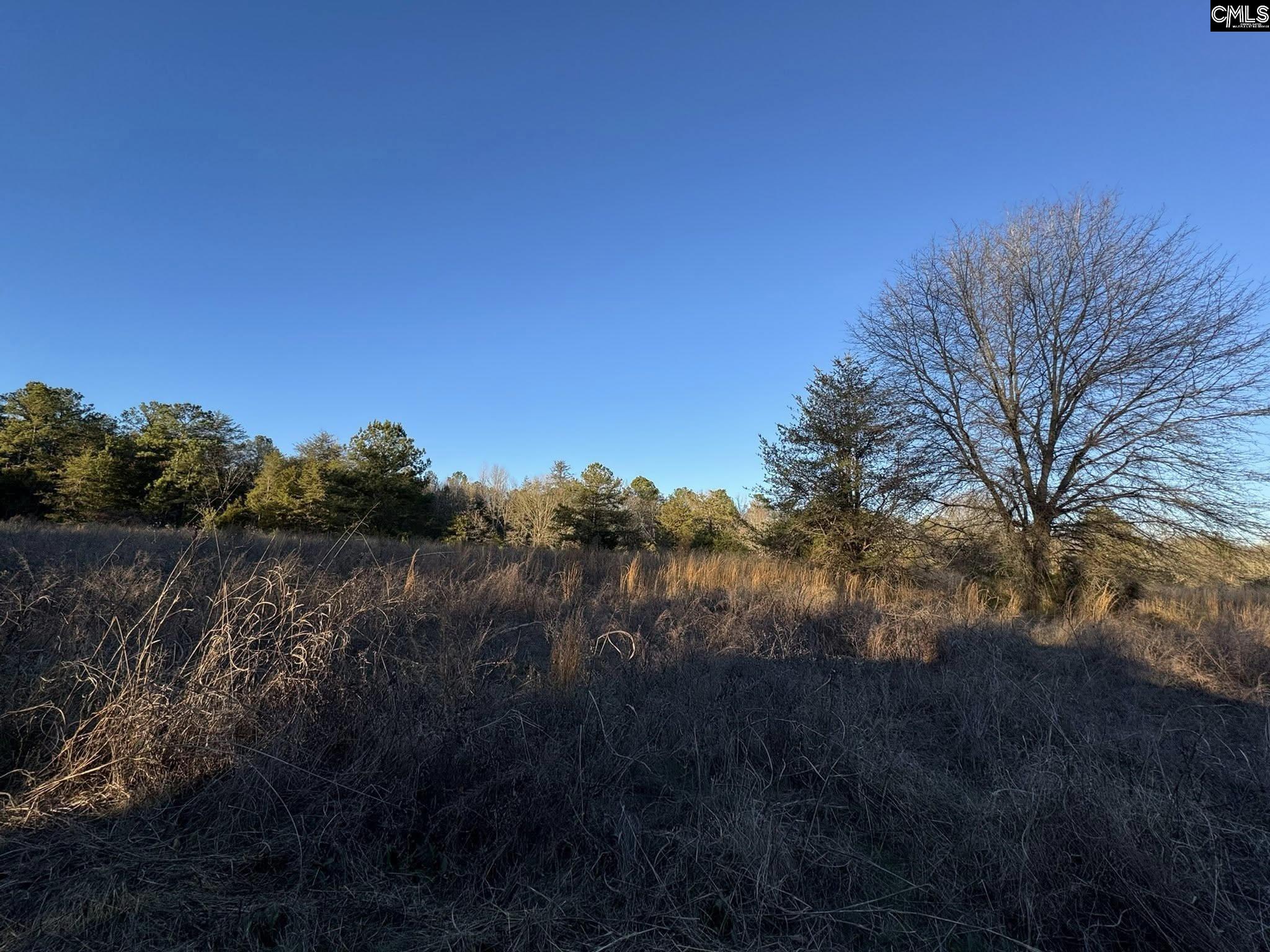 150 Floyd Lanford Road Woodruff, SC 29388 - Photo 61 of 65