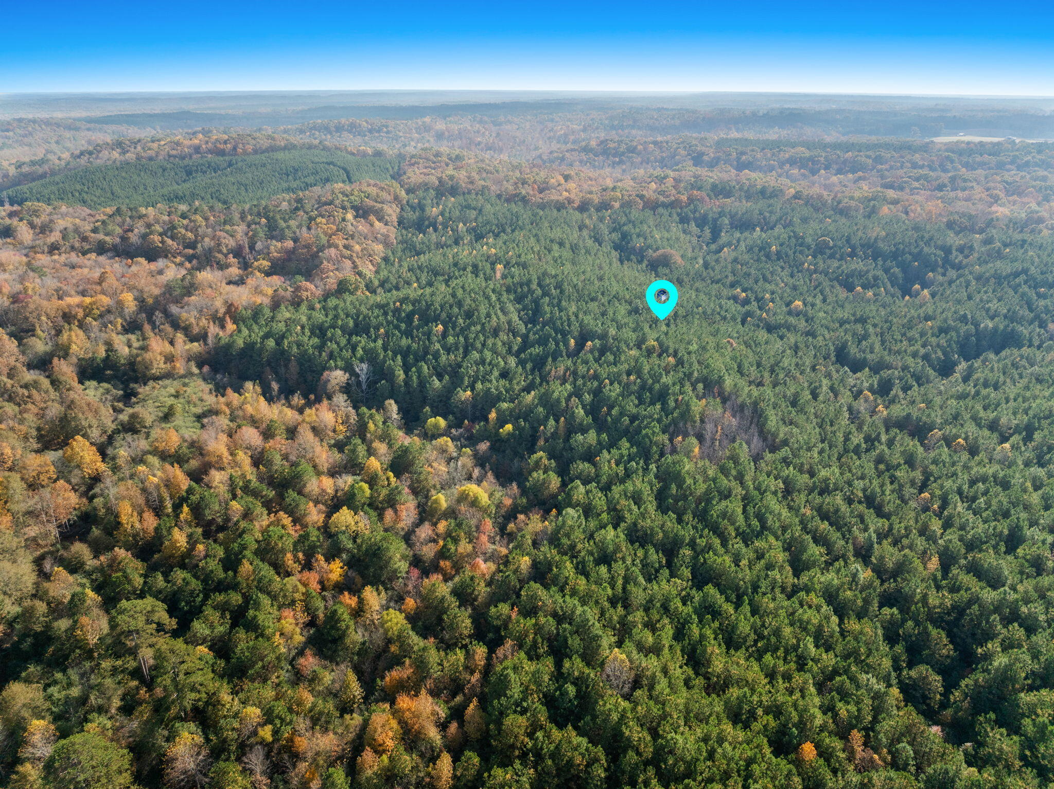 27-acres Pikeville Road Fulton, MS 38843 - Photo 5 of 7 Gallery Image 5