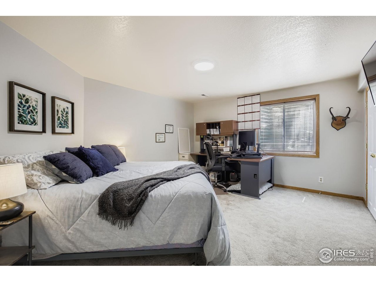 115 Grand View Drive Mead, CO 80651 - Photo 26 of 45 Basement bedroom