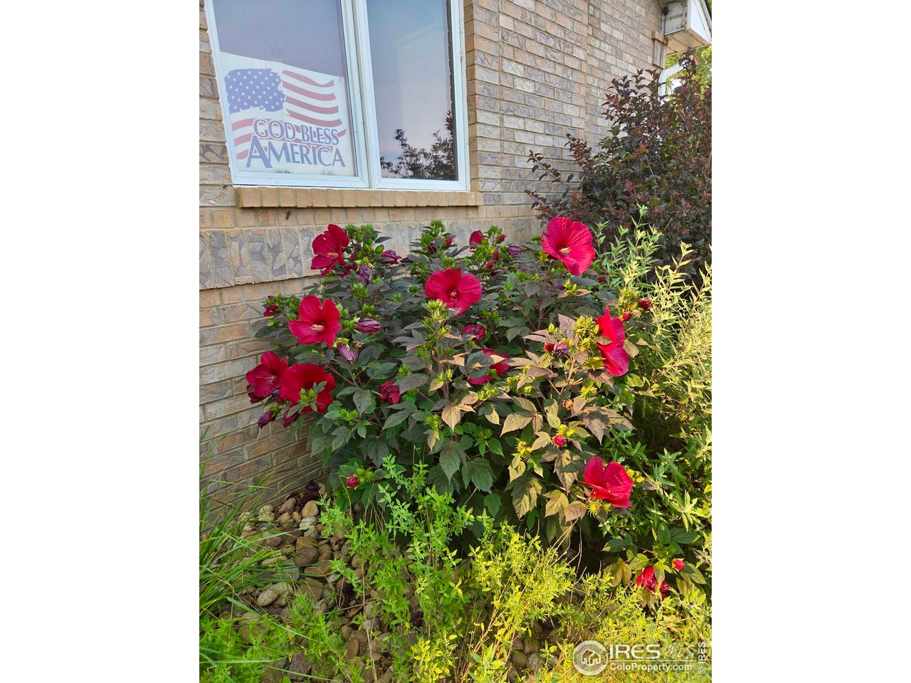 115 Grand View Drive Mead, CO 80651 - Photo 43 of 45