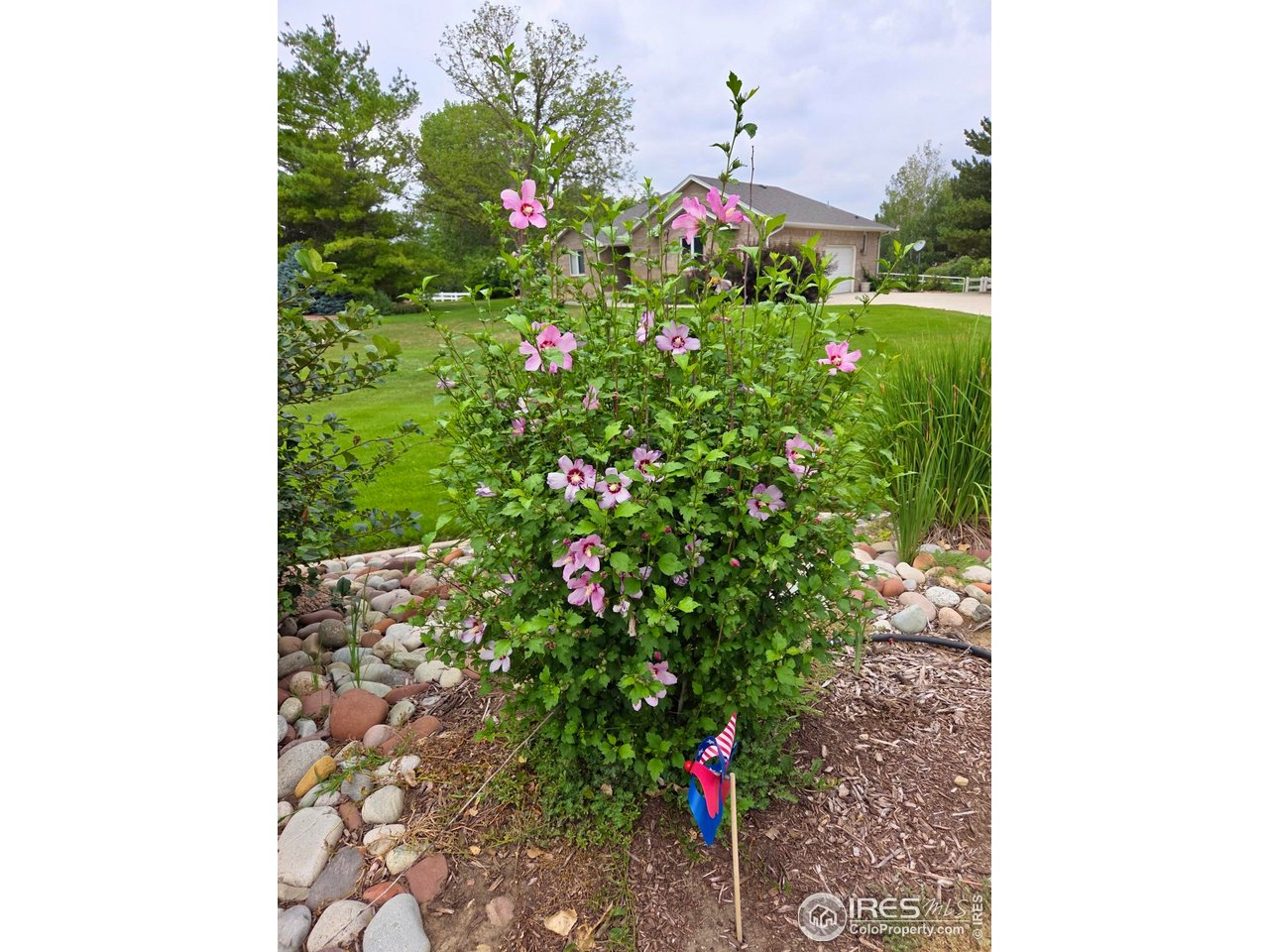 115 Grand View Drive Mead, CO 80651 - Photo 45 of 45