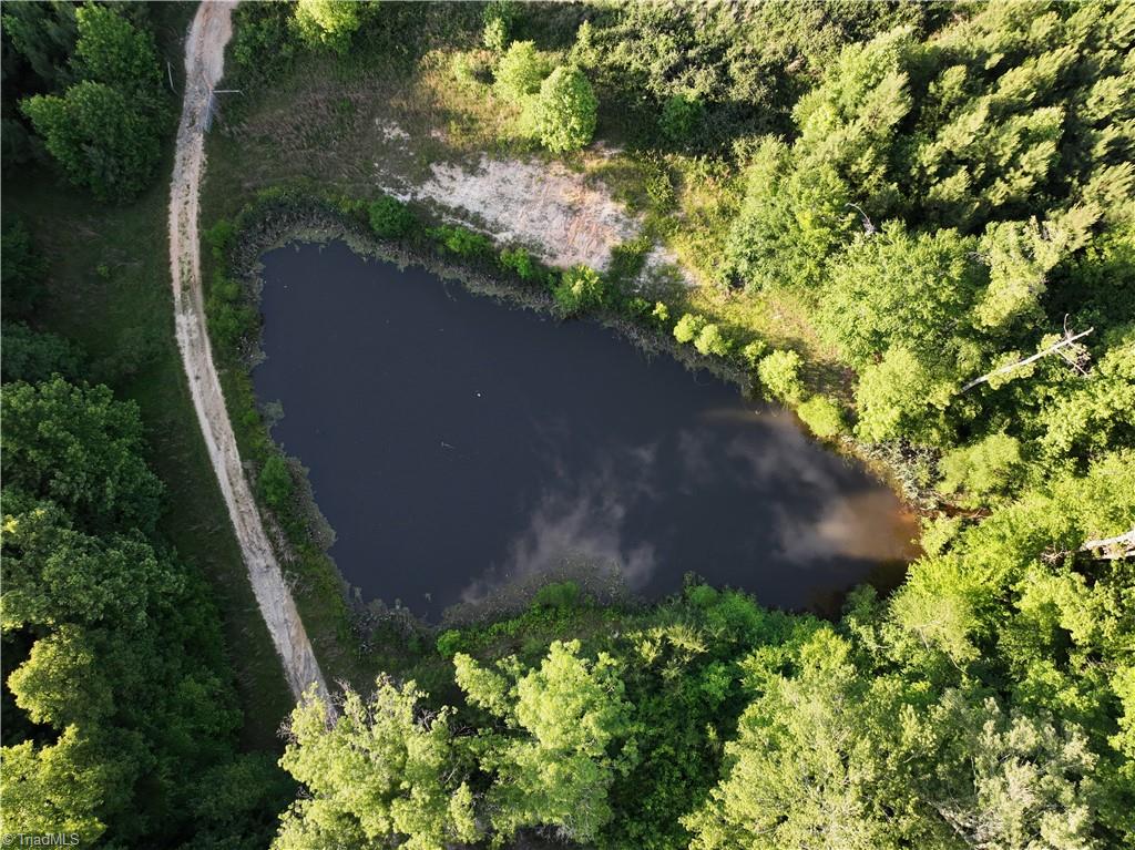 305 Buttercup Road Eden, NC 27288 - Photo 6 of 23 Gallery Image 6