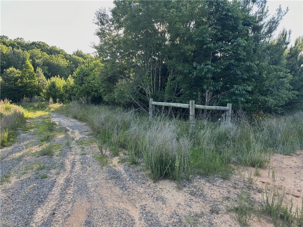 305 Buttercup Road Eden, NC 27288 - Photo 10 of 23 Gallery Image 10
