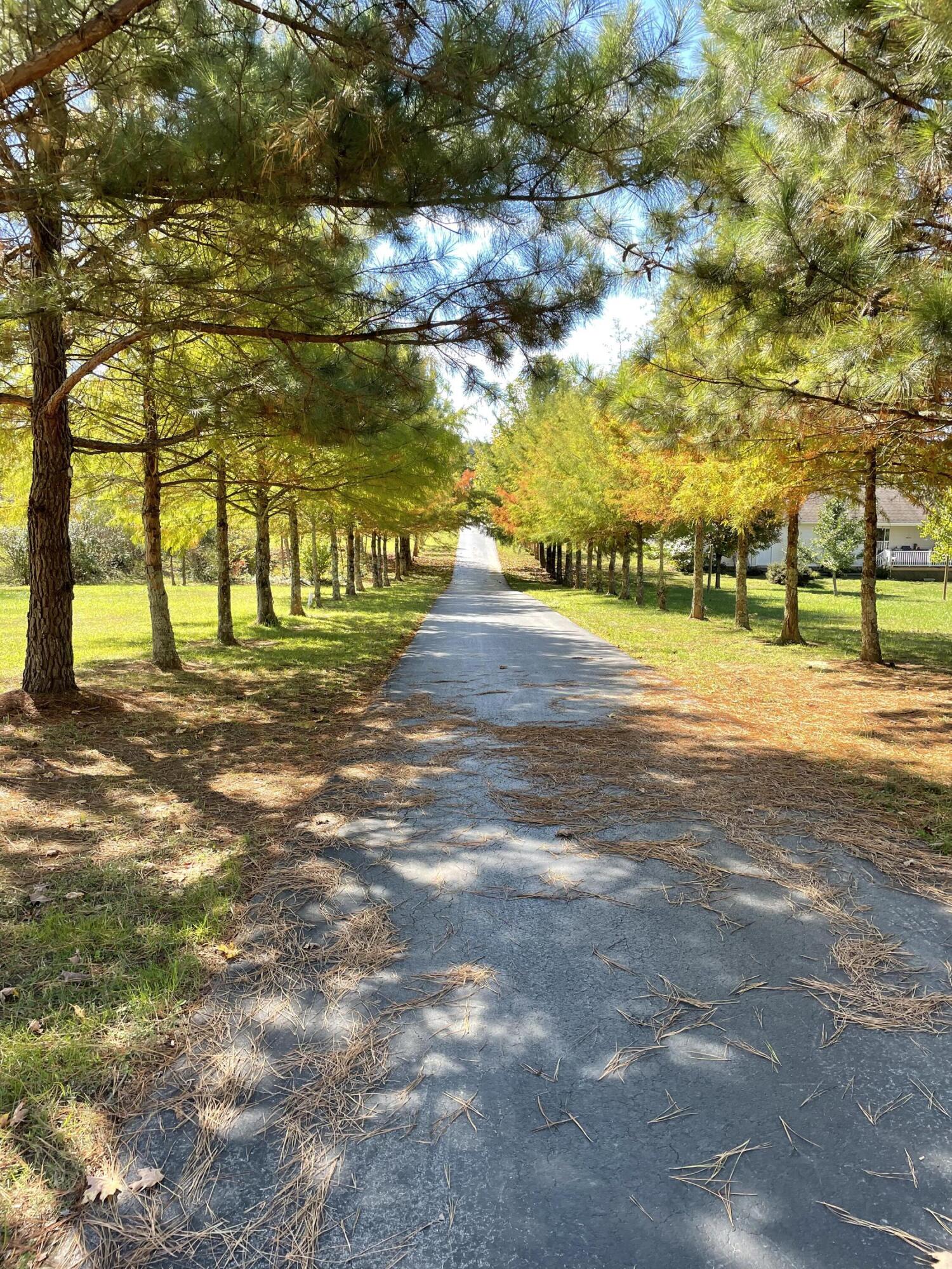 5290 Baileyton Road Greeneville, TN 37745 - Photo 23 of 47 53B9B17A-2EB4-4A42-836D-B3253F1CF820