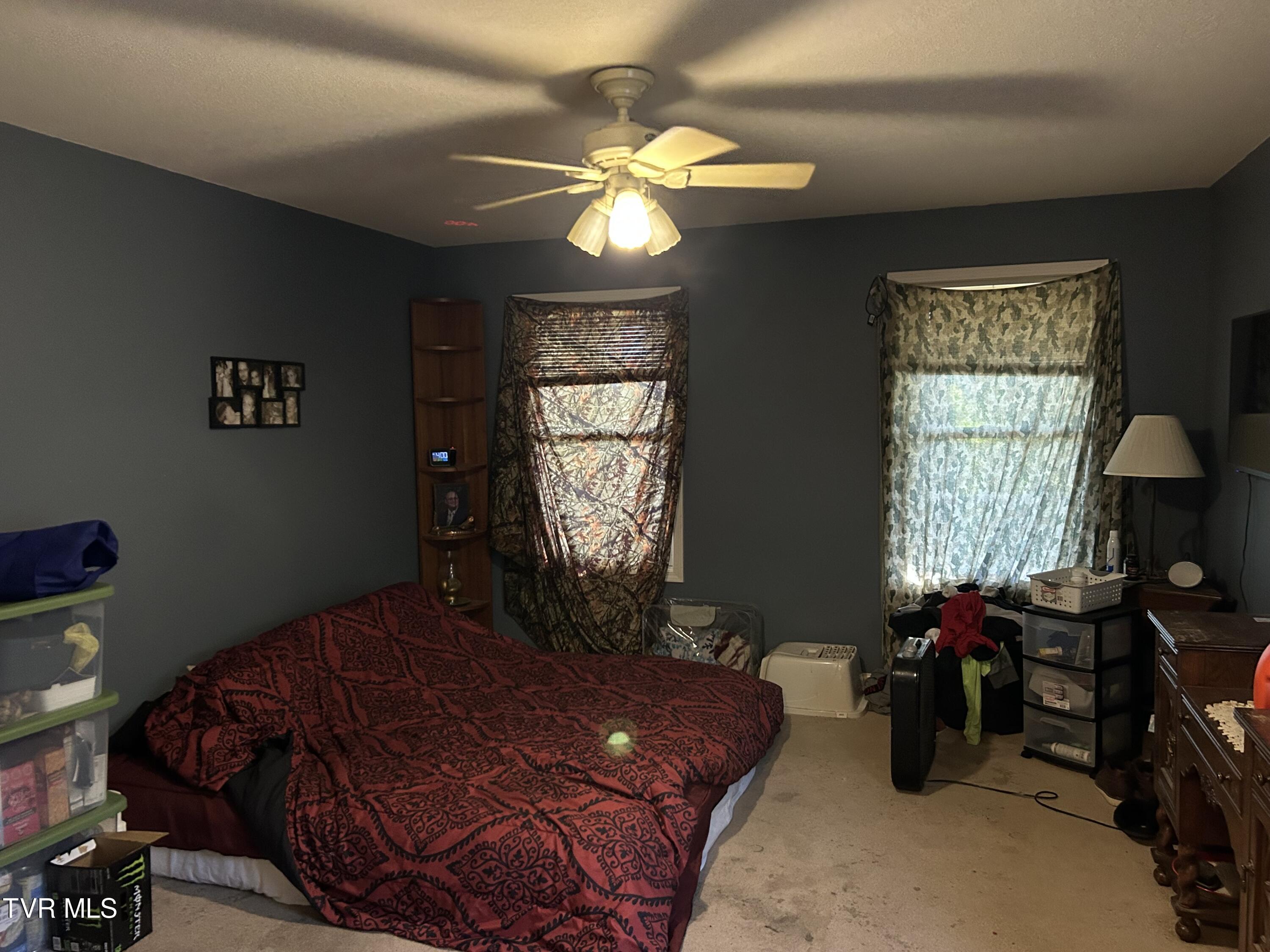 5290 Baileyton Road Greeneville, TN 37745 - Photo 34 of 47 IMG_0192