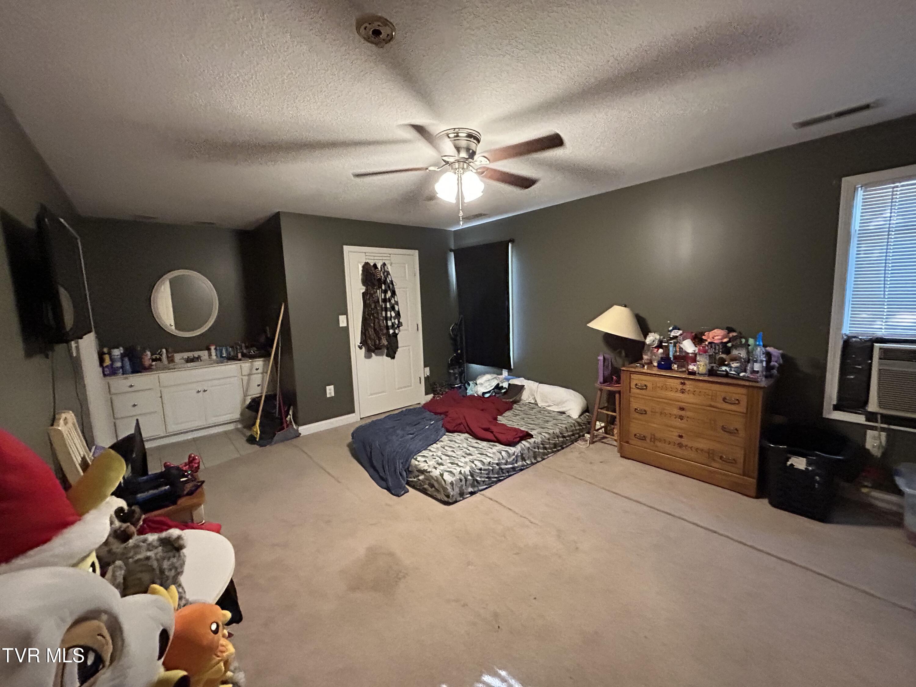 5290 Baileyton Road Greeneville, TN 37745 - Photo 43 of 47 IMG_0203