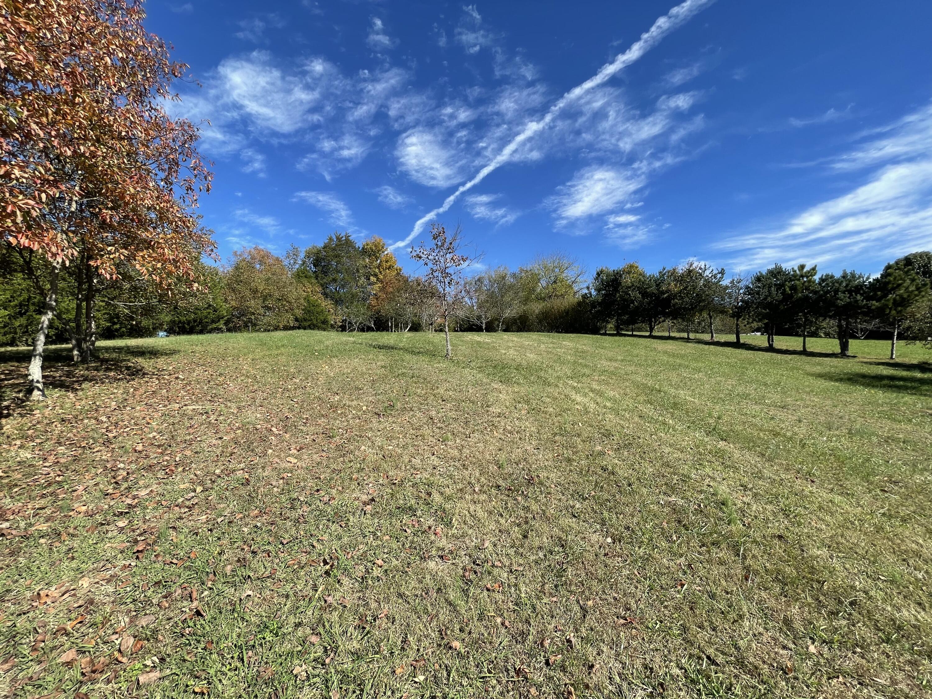 5290 Baileyton Road Greeneville, TN 37745 - Photo 9 of 47 030FDFB3-D6E3-4F8A-8A0D-F081EF229B6C