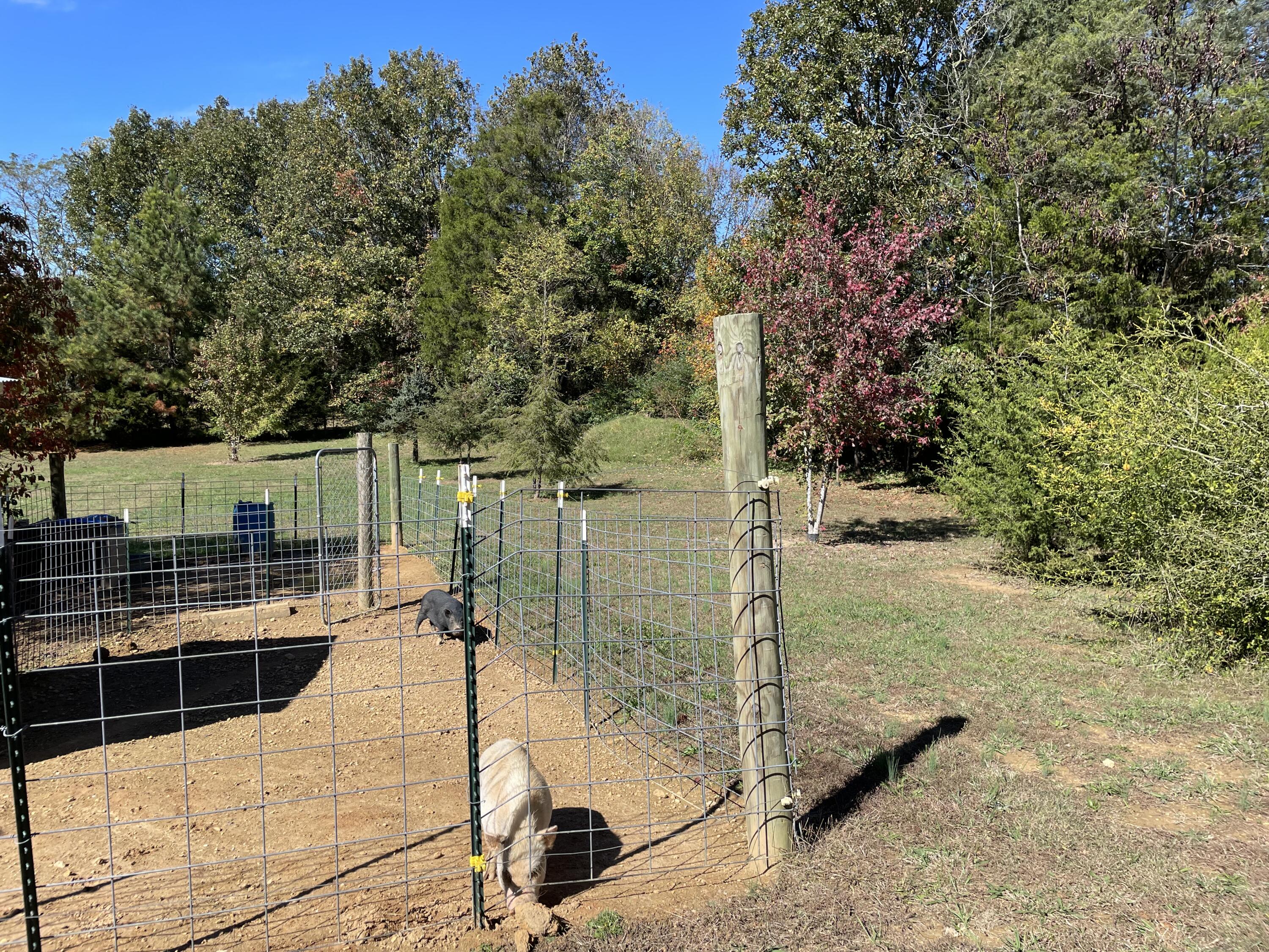 5290 Baileyton Road Greeneville, TN 37745 - Photo 10 of 47 5B4C8E6E-2060-4318-AB78-143BA0D02C41