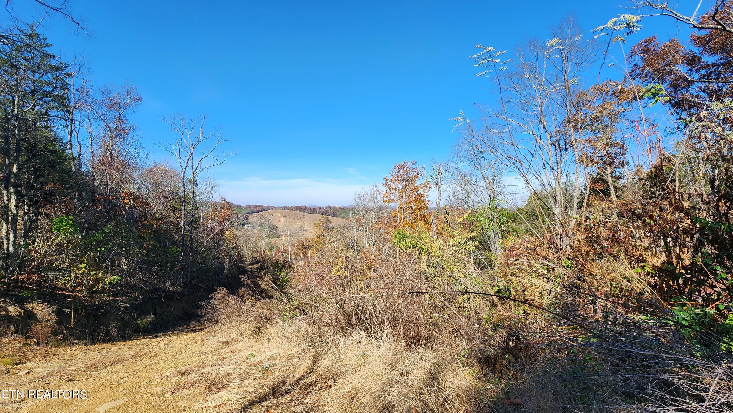 Parton Hollow Road Sevierville, TN 37876 - Photo 1 of 21 20231106_120312