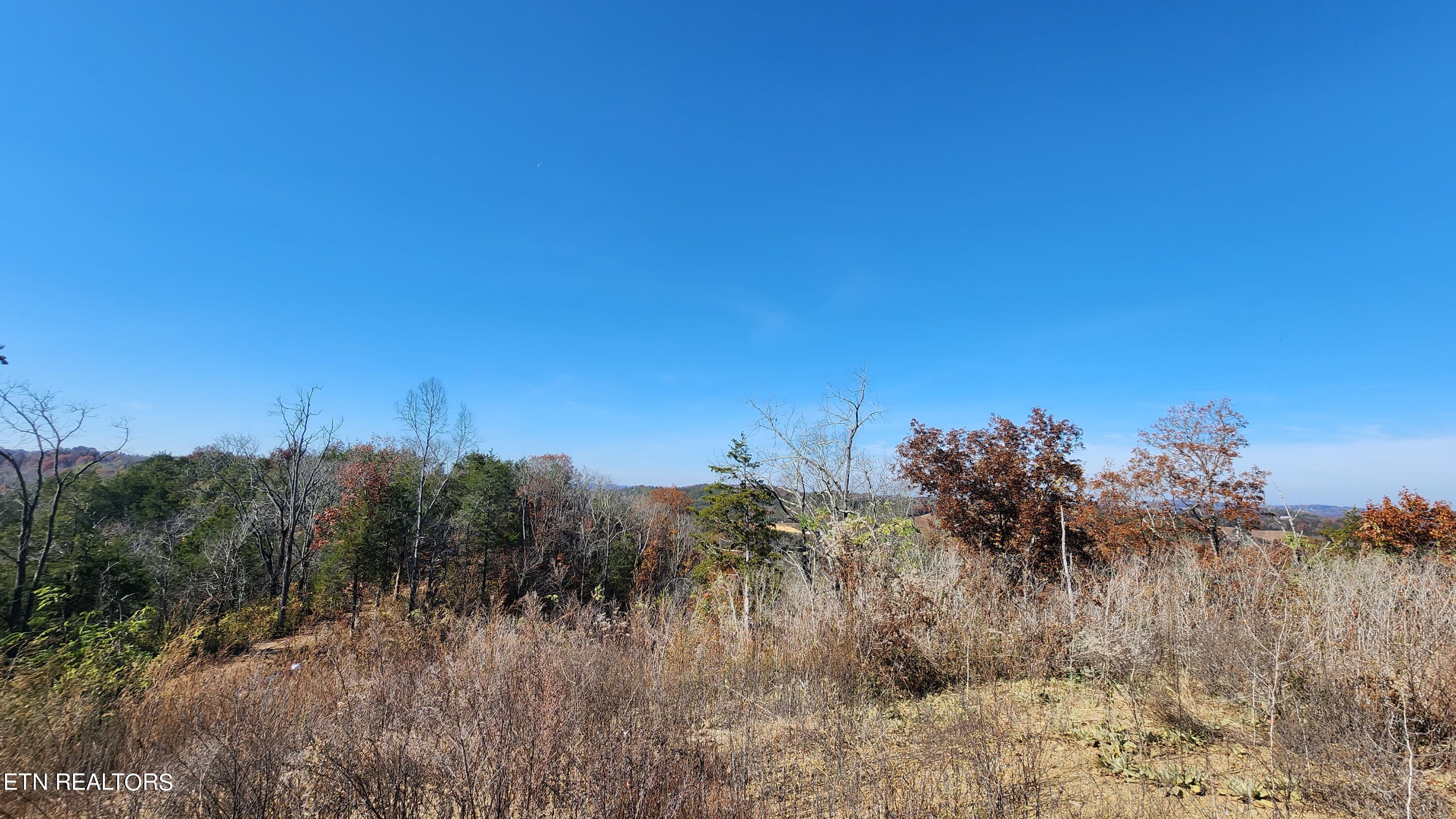 Parton Hollow Road Sevierville, TN 37876 - Photo 11 of 21 20231106_120417