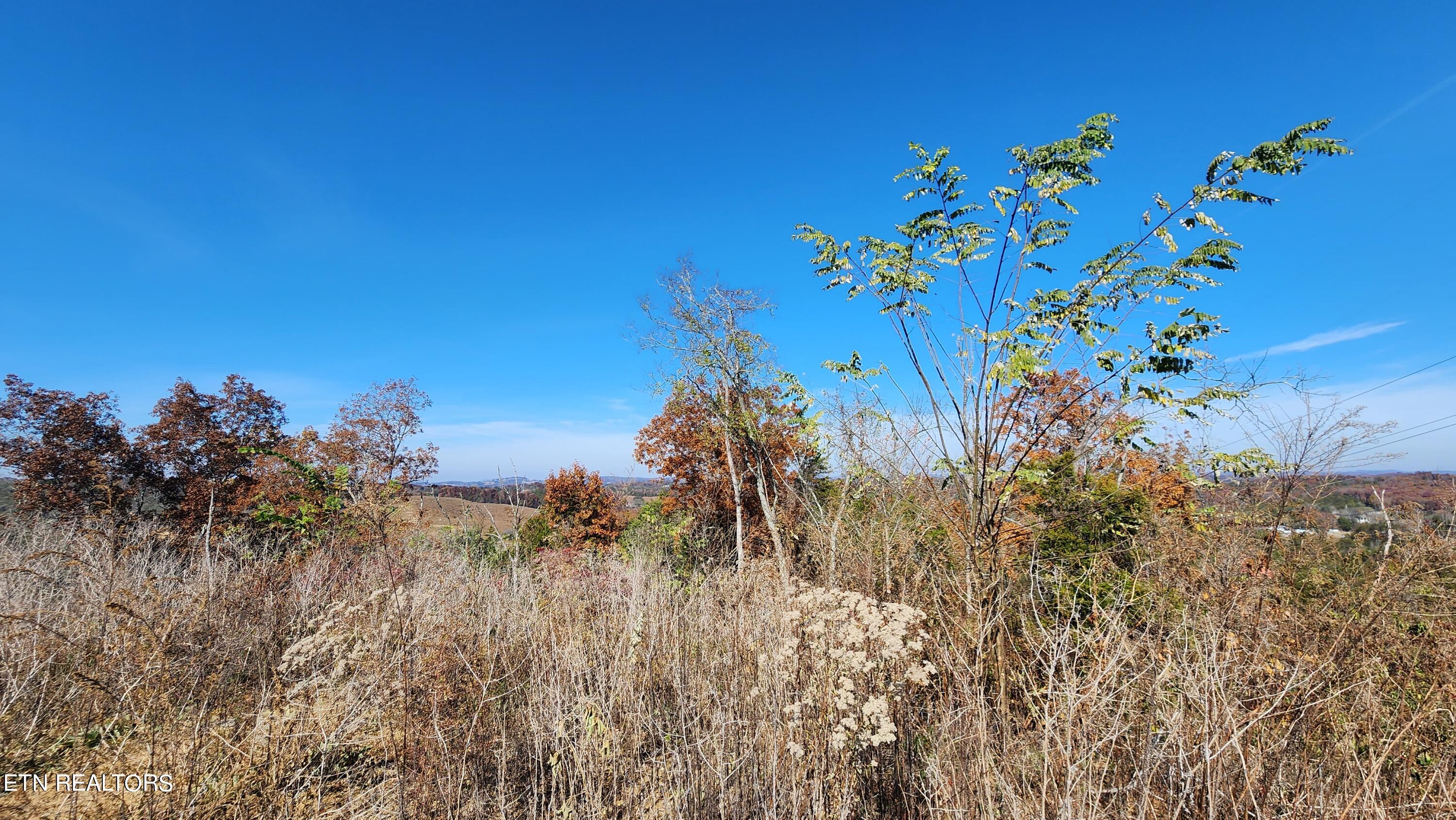 Parton Hollow Road Sevierville, TN 37876 - Photo 12 of 21 20231106_120439