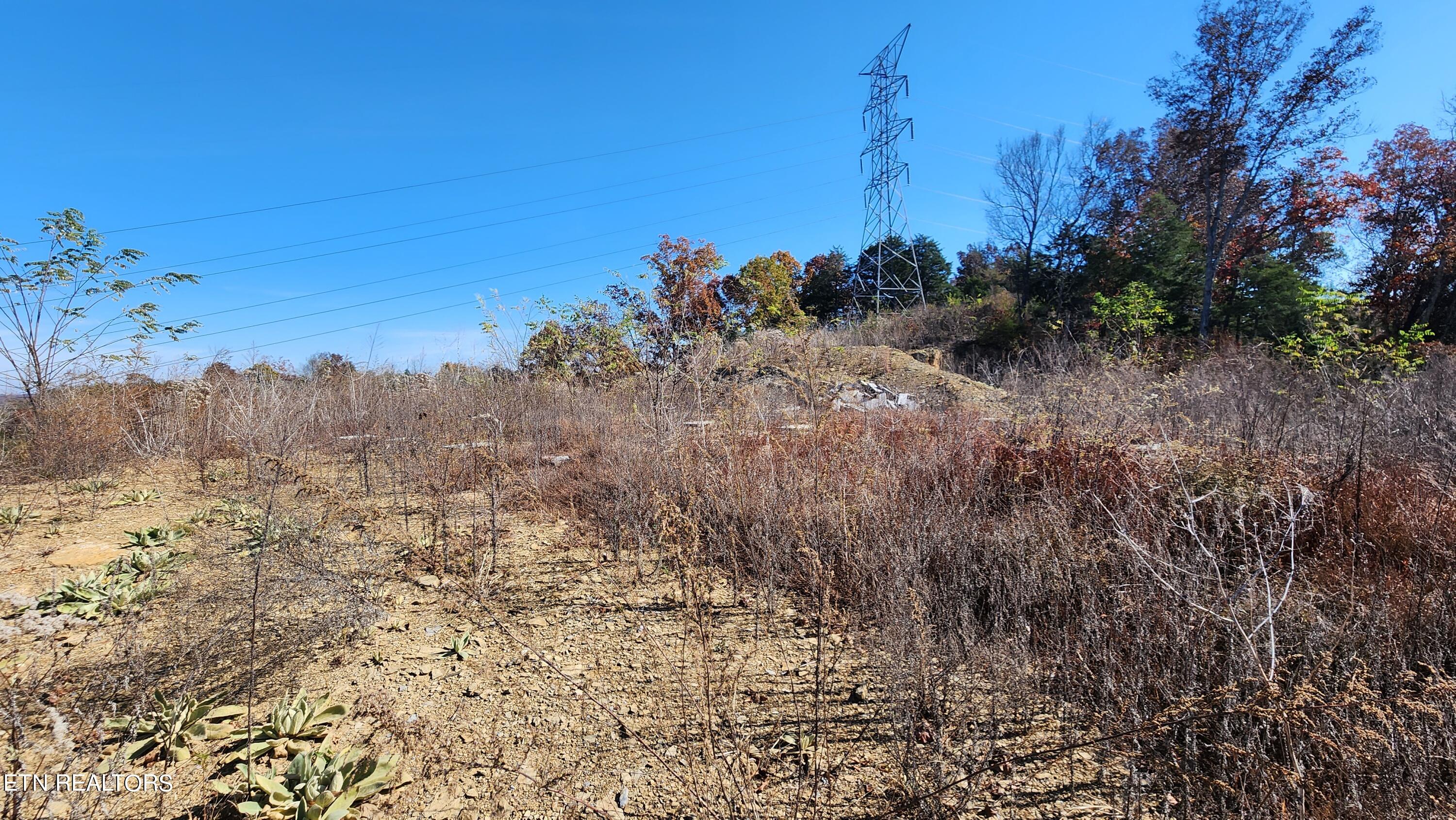 Parton Hollow Road Sevierville, TN 37876 - Photo 13 of 21 20231106_120517