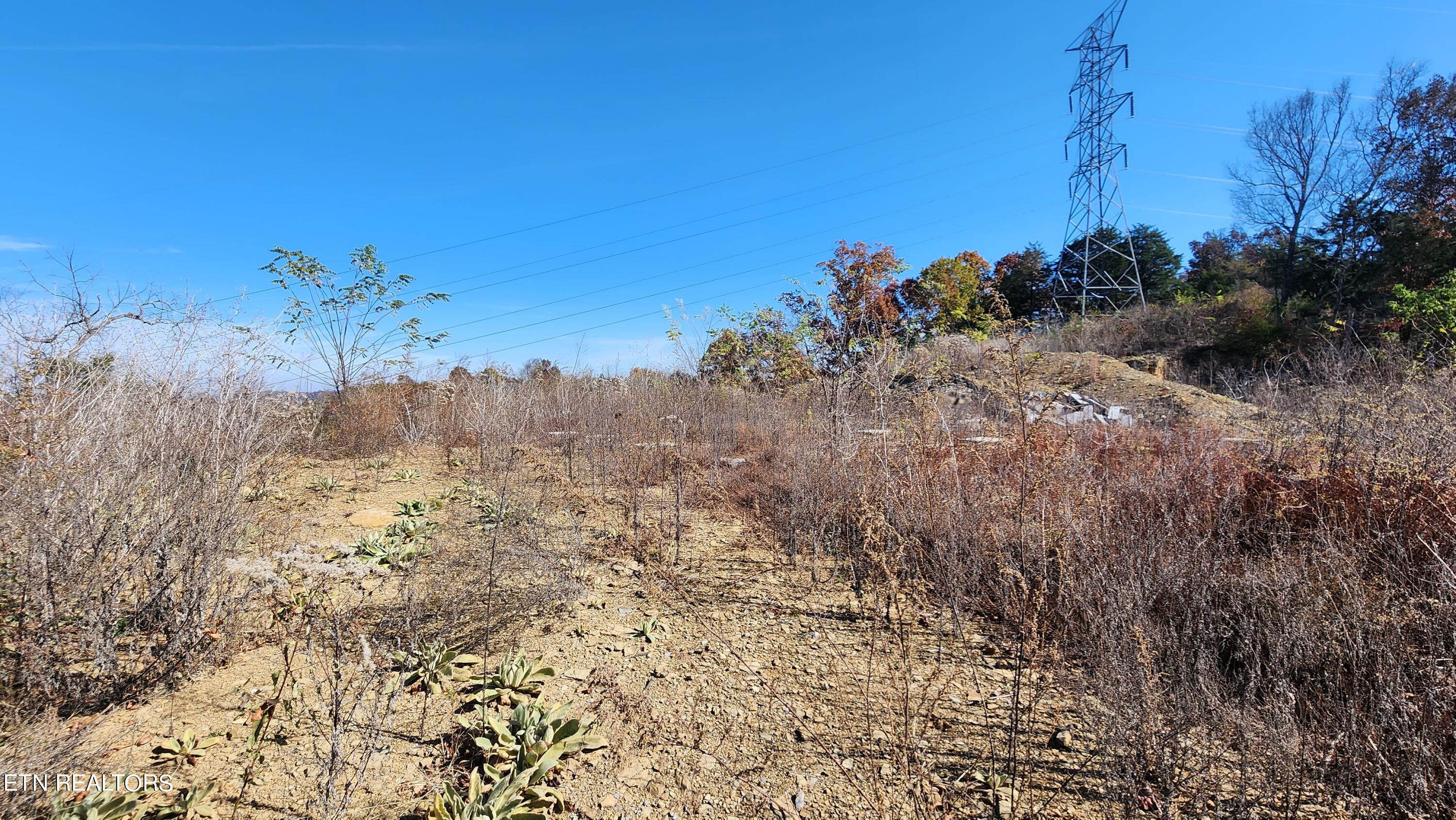 Parton Hollow Road Sevierville, TN 37876 - Photo 14 of 21 20231106_120519