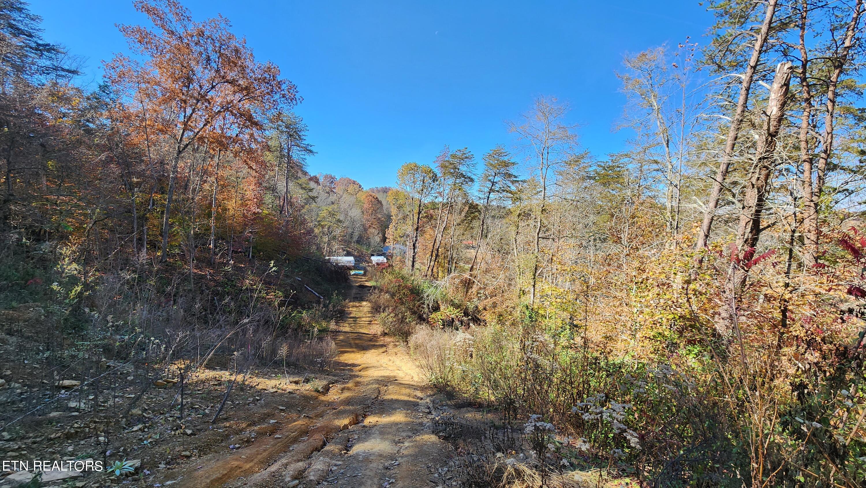 Parton Hollow Road Sevierville, TN 37876 - Photo 15 of 21 20231106_121037