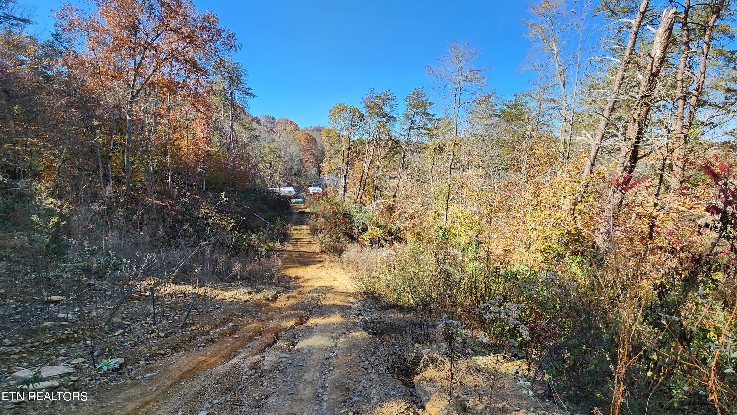 Parton Hollow Road Sevierville, TN 37876 - Photo 16 of 21 20231106_121046