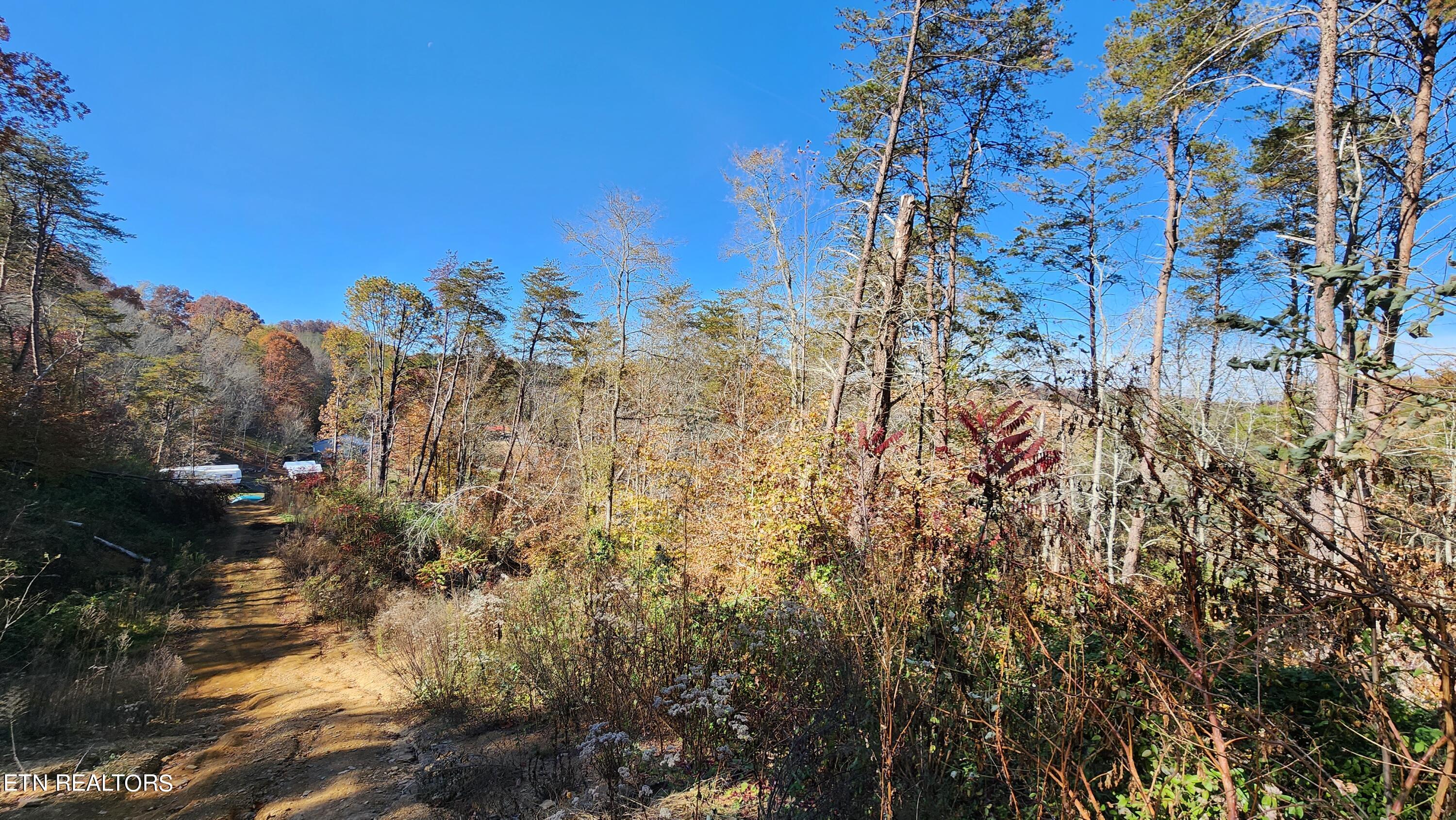 Parton Hollow Road Sevierville, TN 37876 - Photo 17 of 21 20231106_121050