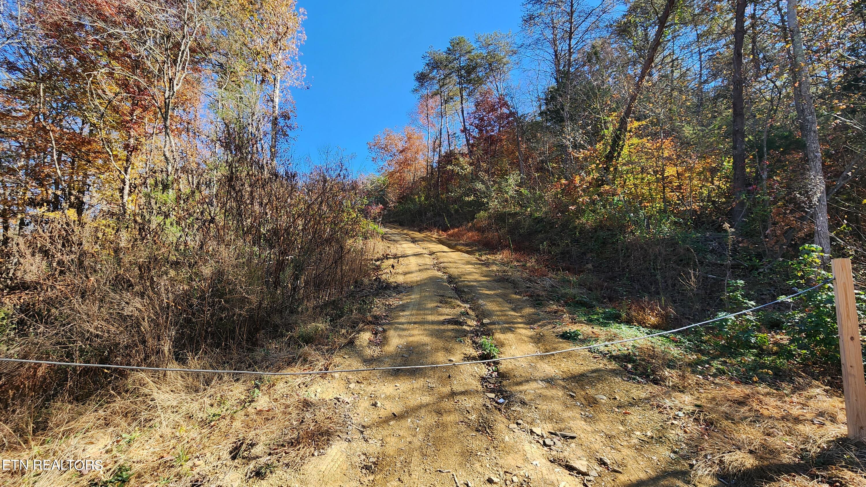 Parton Hollow Road Sevierville, TN 37876 - Photo 18 of 21 20231106_121600