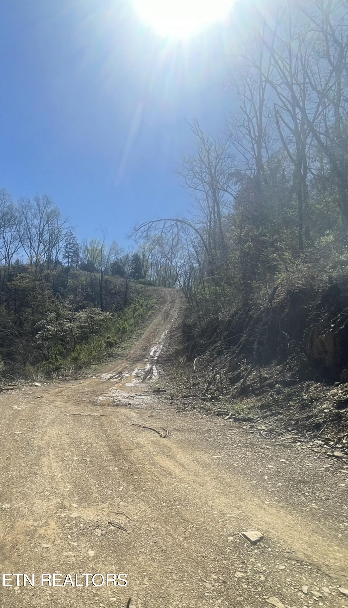 Parton Hollow Road Sevierville, TN 37876 - Photo 20 of 21 40919