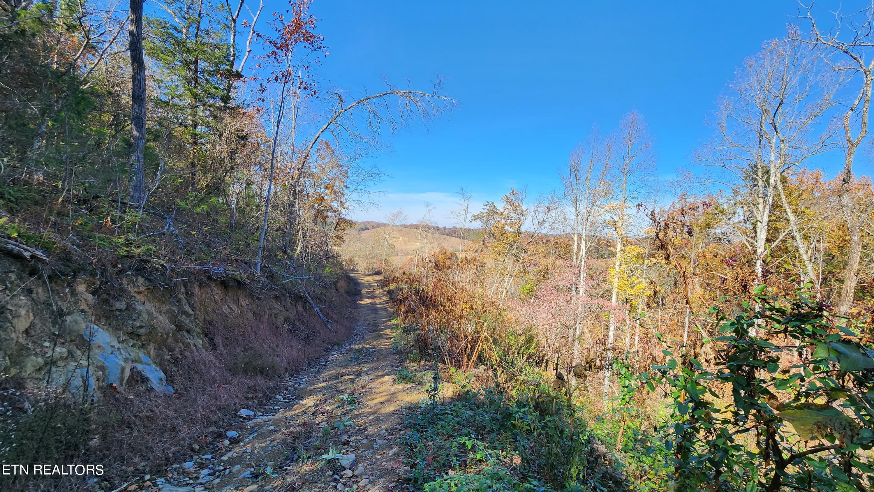 Parton Hollow Road Sevierville, TN 37876 - Photo 2 of 21 20231106_120826