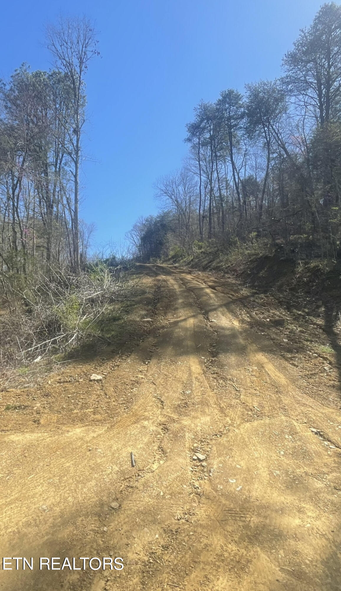 Parton Hollow Road Sevierville, TN 37876 - Photo 21 of 21 57247