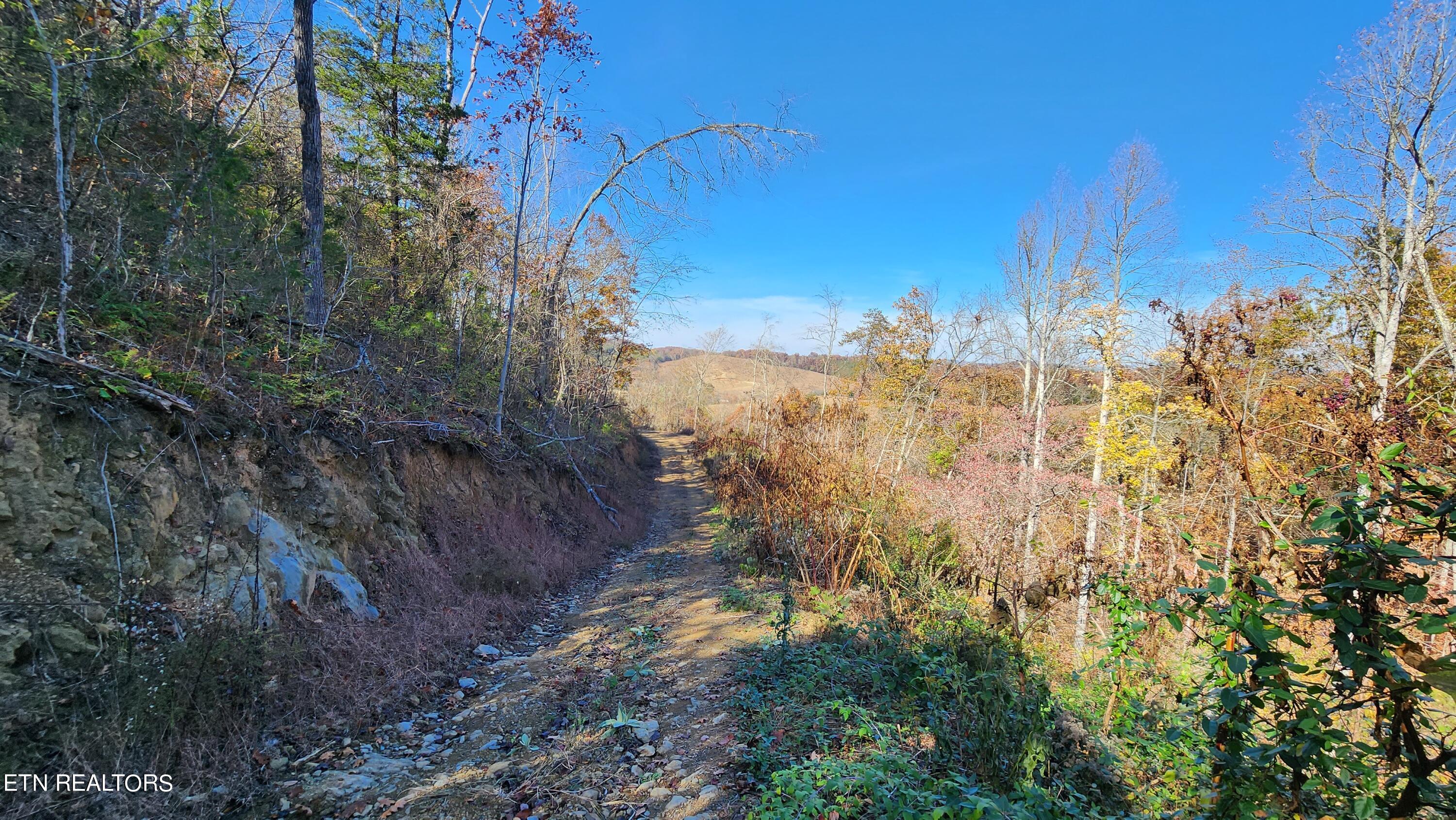 Parton Hollow Road Sevierville, TN 37876 - Photo 3 of 21 20231106_120832