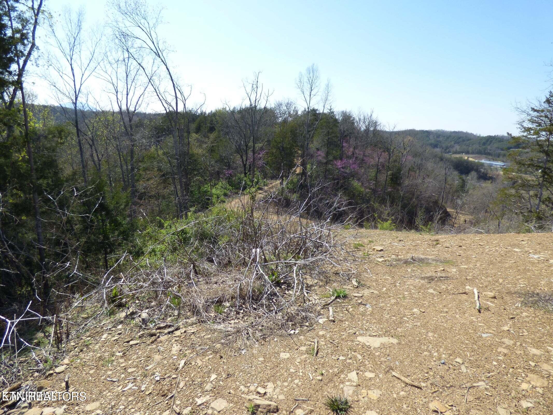 Parton Hollow Road Sevierville, TN 37876 - Photo 4 of 21 Pic 3