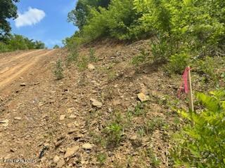 Parton Hollow Road Sevierville, TN 37876 - Photo 5 of 21 IMG-1155