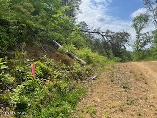 Parton Hollow Road Sevierville, TN 37876 - Photo 6 of 21 IMG-1154 (1)