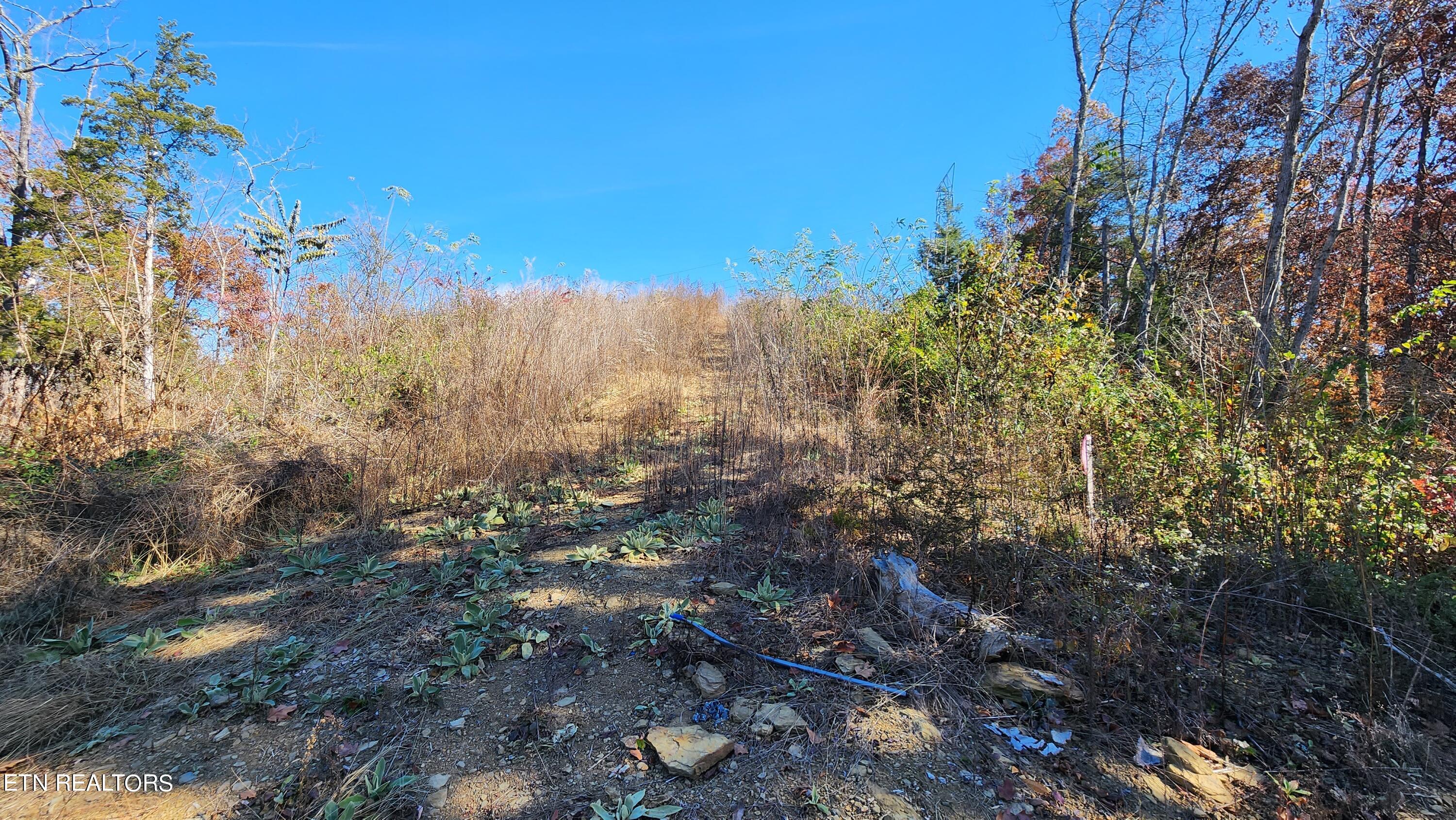Parton Hollow Road Sevierville, TN 37876 - Photo 9 of 21 20231106_120300