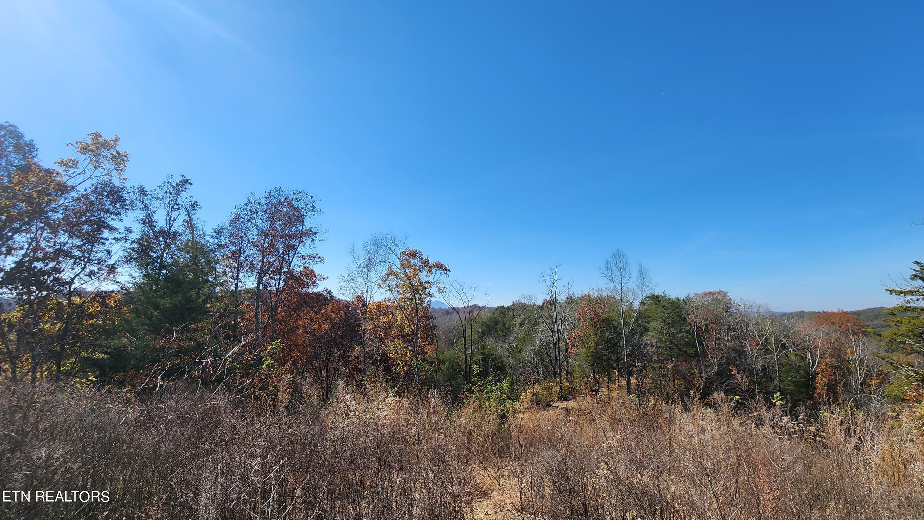 Parton Hollow Road Sevierville, TN 37876 - Photo 10 of 21 20231106_120415