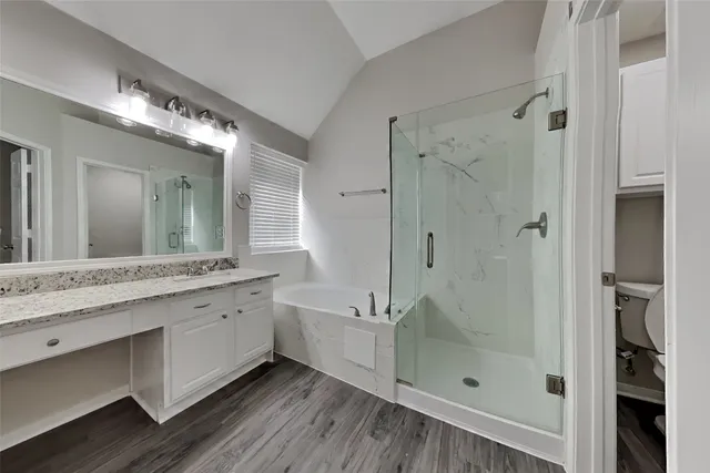 a bathroom with a double vanity sink mirror double shower and a bathtub