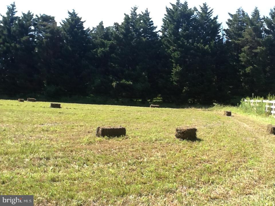 14135 Cooley Road Princess Anne, MD 21853 - Photo 12 of 15 a view of swimming pool with an outdoor space