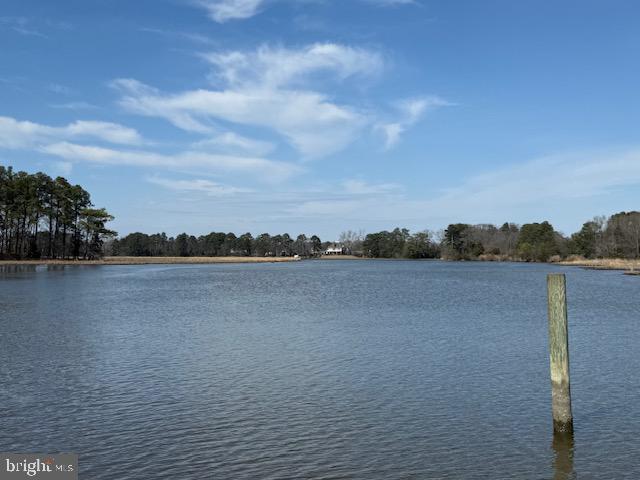 14135 Cooley Road Princess Anne, MD 21853 - Photo 6 of 15 a view of lake