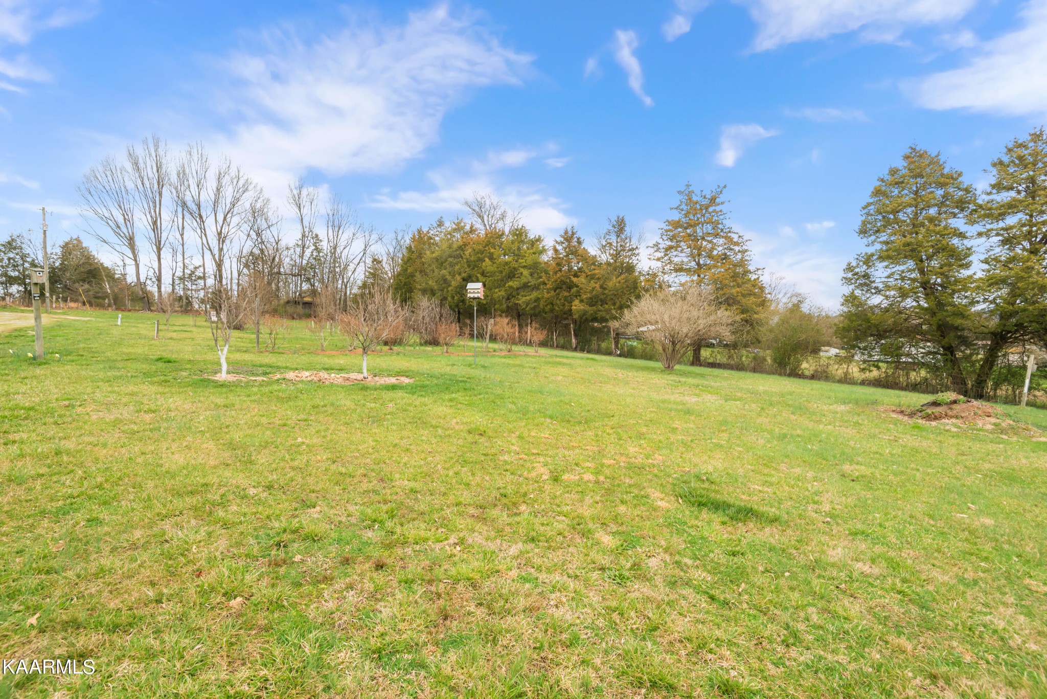 8839 East Emory Road Corryton, TN 37721 - Photo 35 of 41 Gallery Image 35