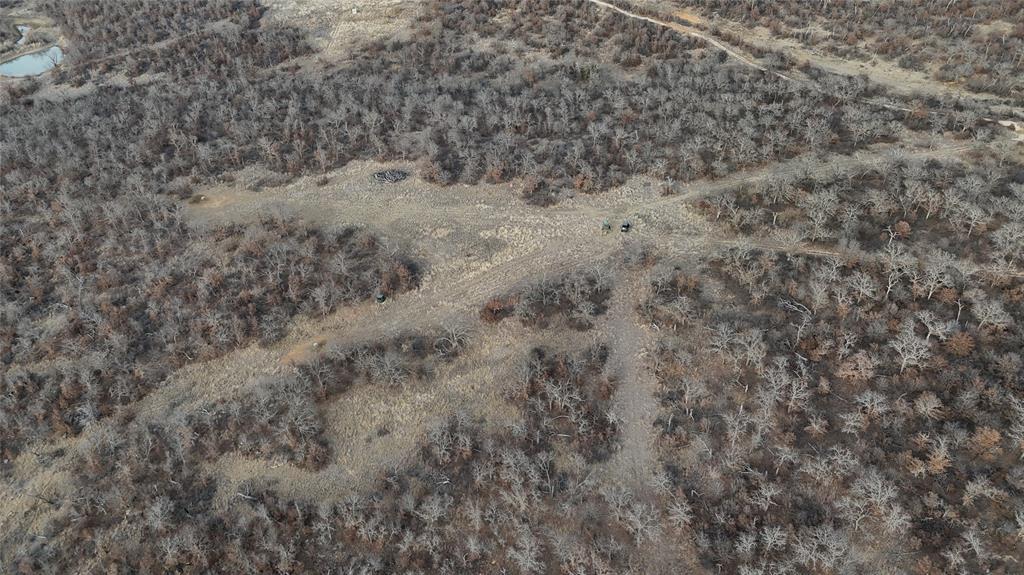 1921 Salt Creek Road Jacksboro, TX 76458 - Photo 5 of 37 a view of a dry yard covered with trees