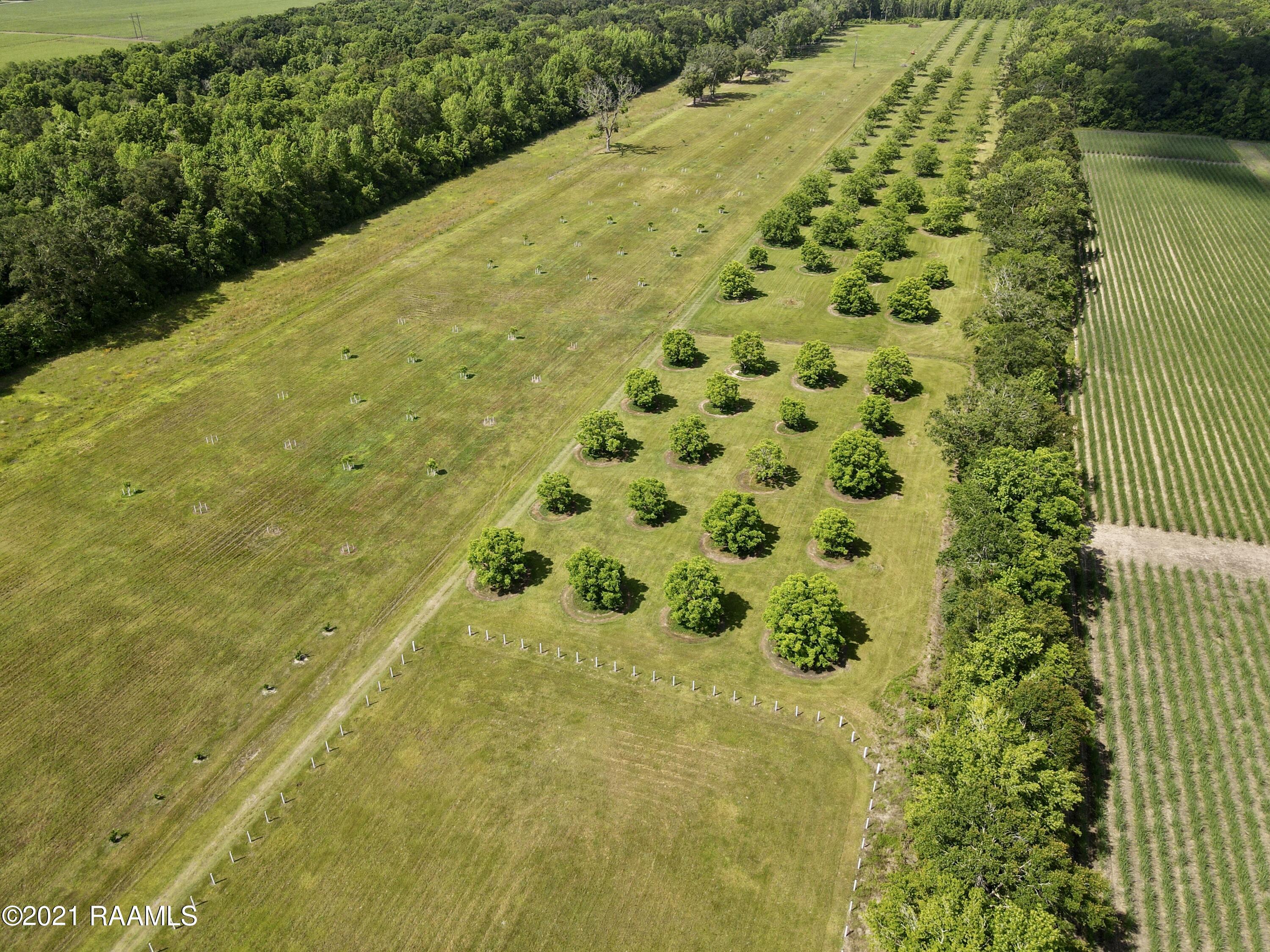 0 Gloria Kern Road Breaux Bridge, LA 70517 - Photo 8 of 25