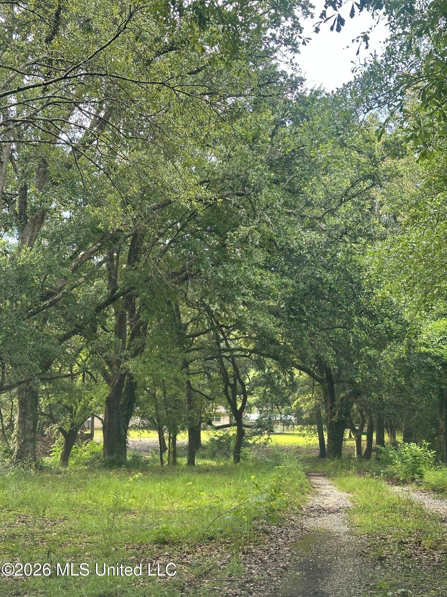 68 Preacher Hill Road Picayune, MS 39466 - Photo 12 of 16 68_Preacher_Hill_06
