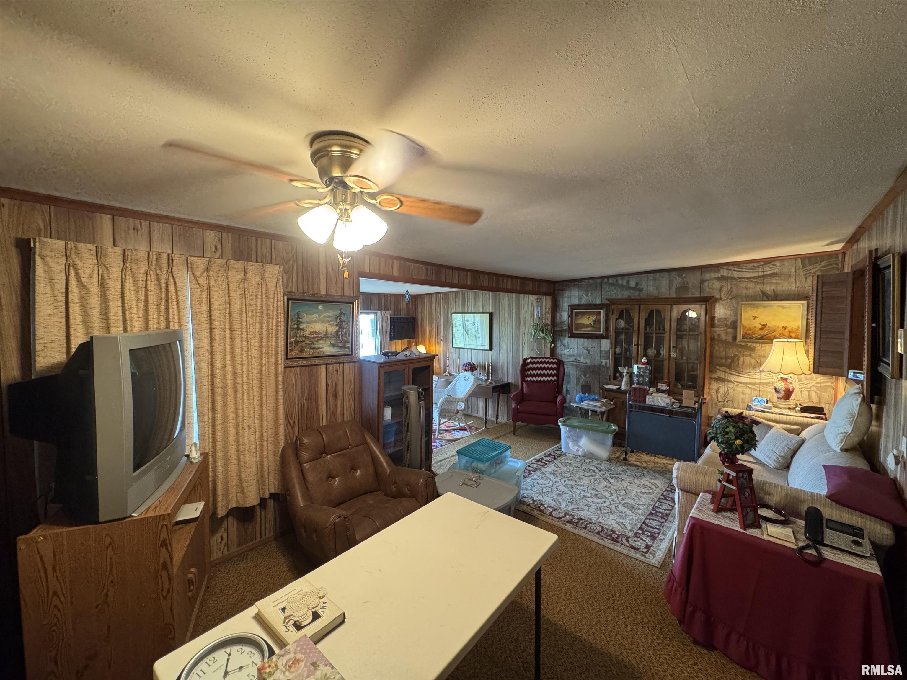 7550 Mathews Bay Road Bath, IL 62617 - Photo 16 of 22