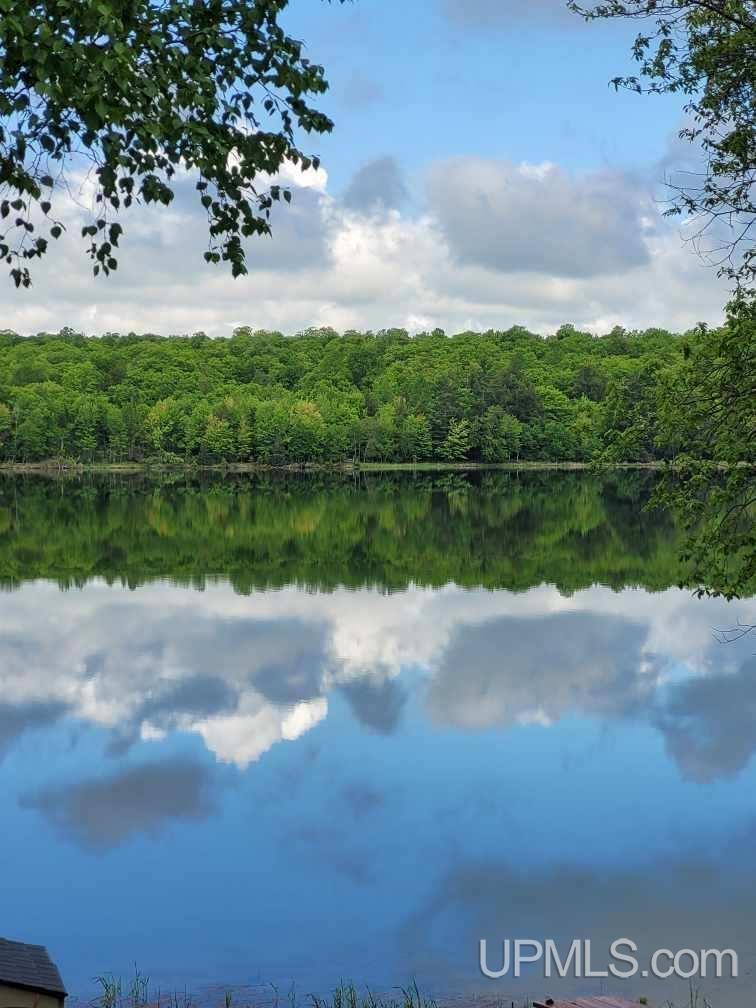 261 Federal Forest Road Iron River, MI 49935 - Photo 29 of 32 Gallery Image 29