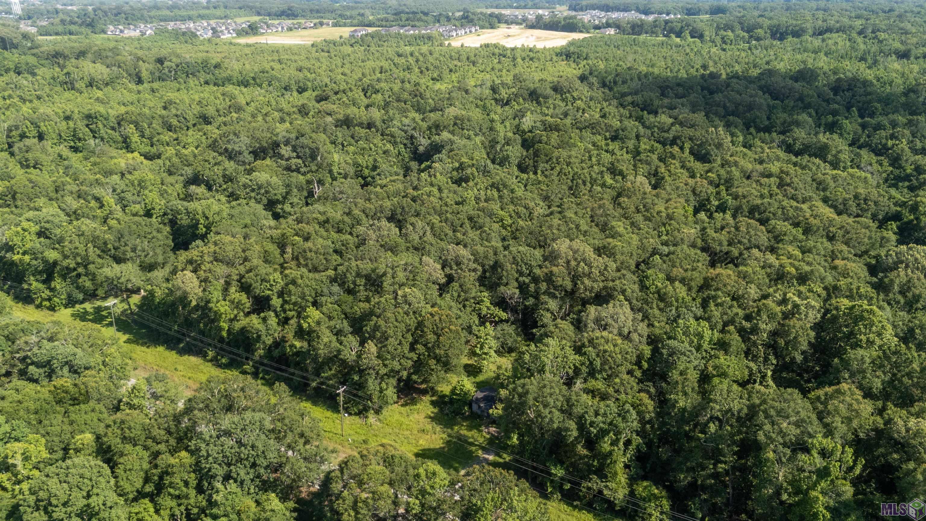 1506 West Flonacher Road Zachary, LA 70791 - Photo 3 of 12