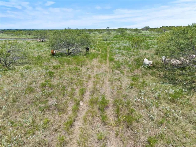 $2,500,000 | 3486 FM 3486, Terrell, TX 75160