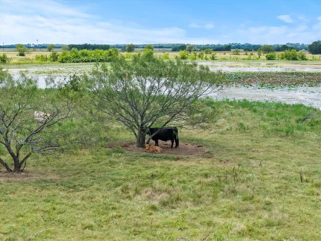 $2,500,000 | 3486 FM 3486, Terrell, TX 75160