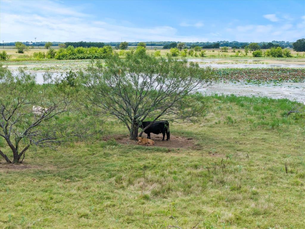 3486 FM 3486 Terrell, TX 75160 - Photo 16 of 23