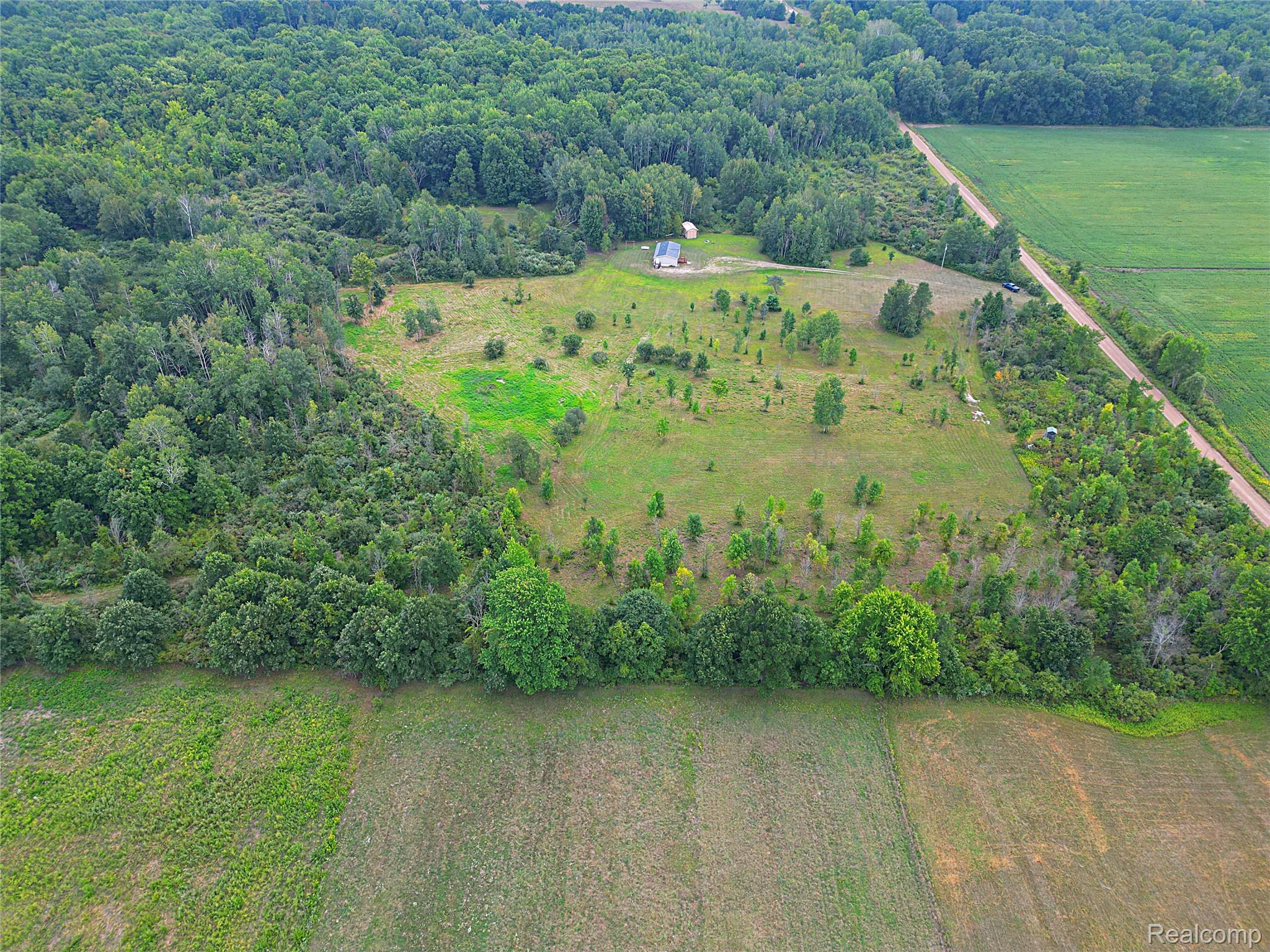 11365 Littlefield Road Blanchard, MI 49310 - Photo 11 of 68 Expansive property featuring mature trees and open clearings