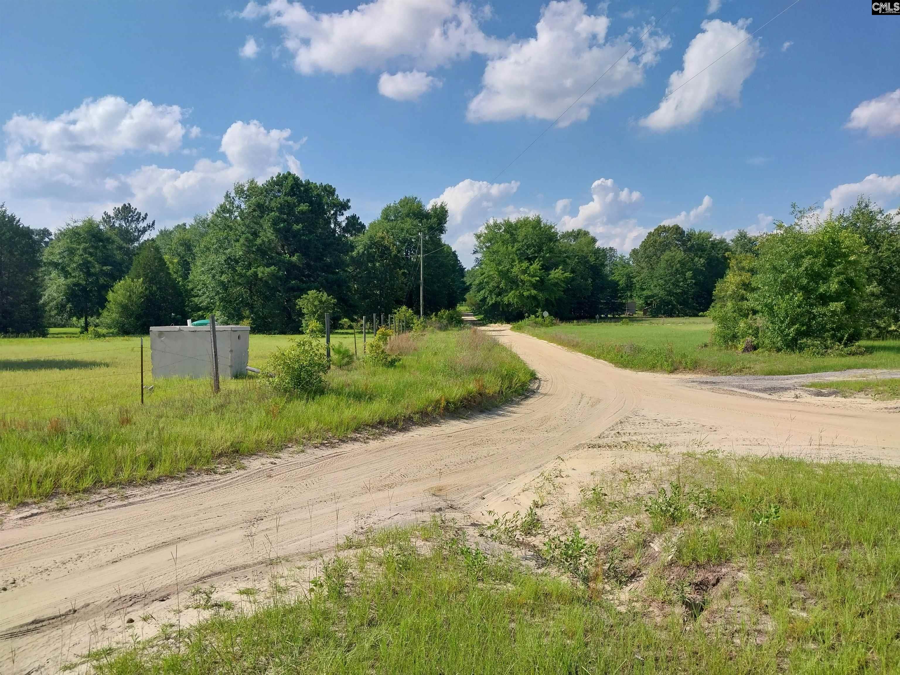 408 Sells Court Pelion, SC 29123 - Photo 2 of 6
